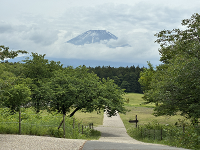 朝霧高原からみる富士山.png
