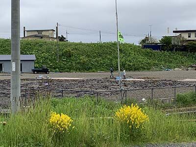 IMG_7331s.jpg