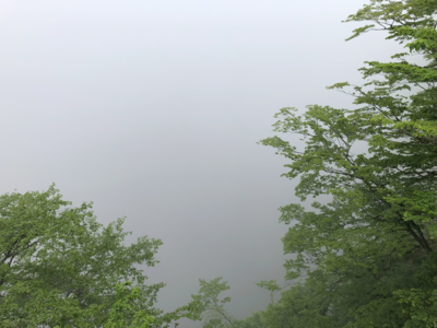 0528華厳の滝.png