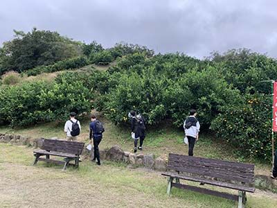IMG_6561s.JPEG