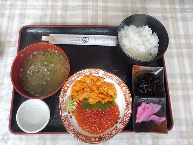 P1080863s.jpg