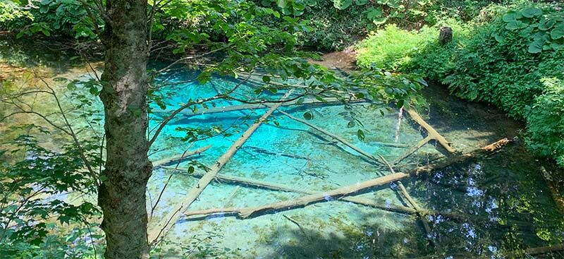 Pond_kaminoko.jpg