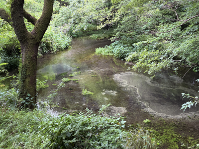 柿田川.png
