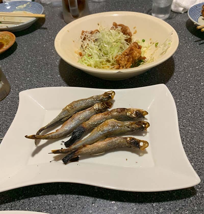 dinner.jpg