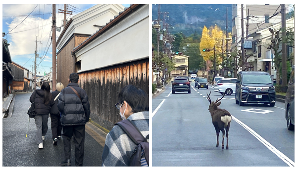 スクリーンショット 2025-11-25 211032.png