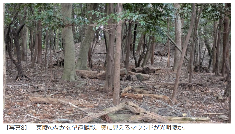 スクリーンショット 2026-04-18 084414.png