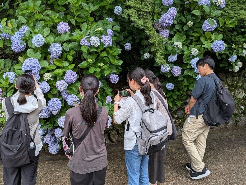 長谷寺8.jpg