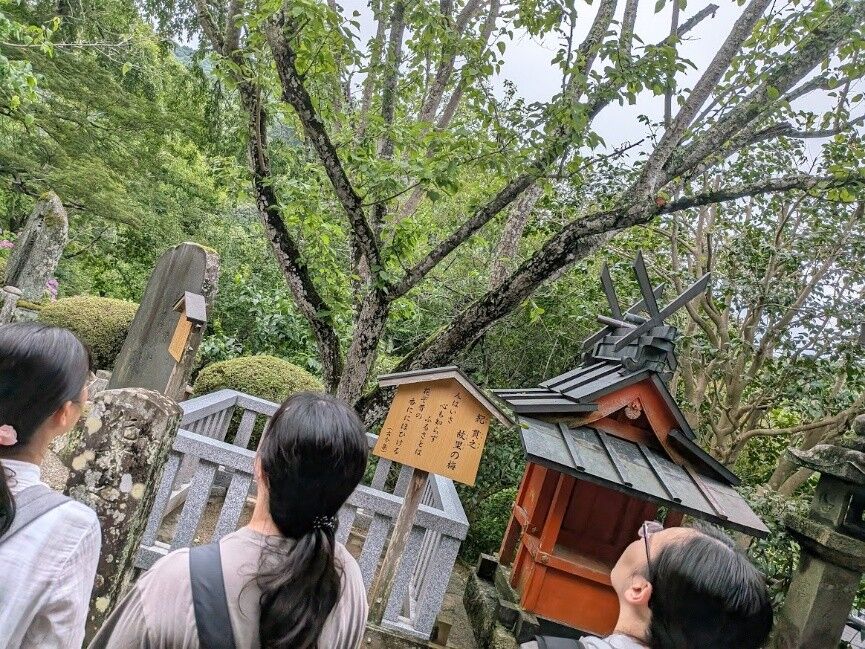 長谷寺5.jpg