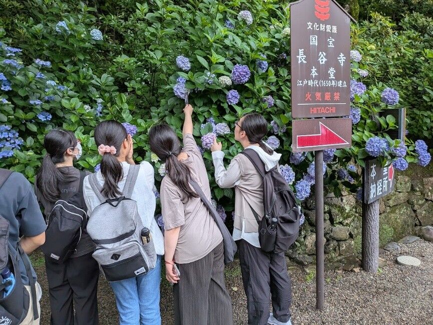 長谷寺9.jpg